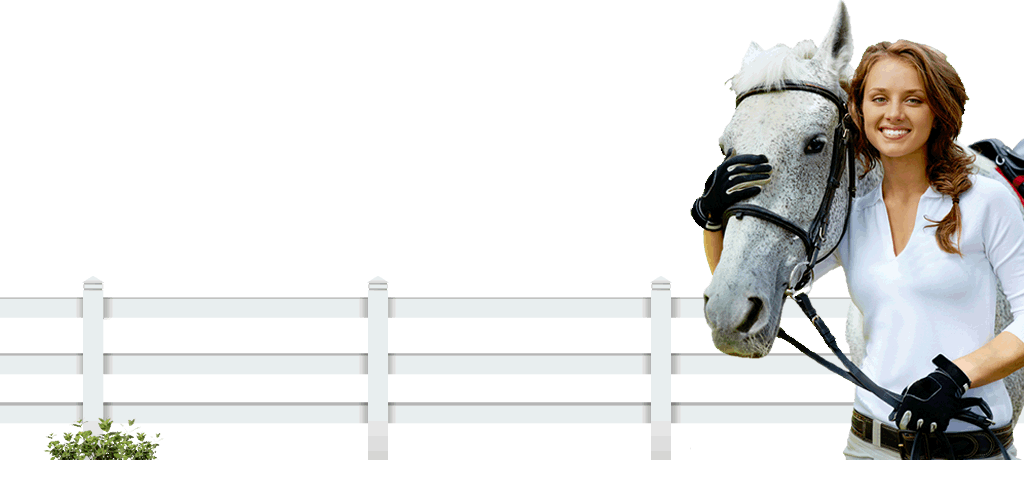 horse riding and agistment