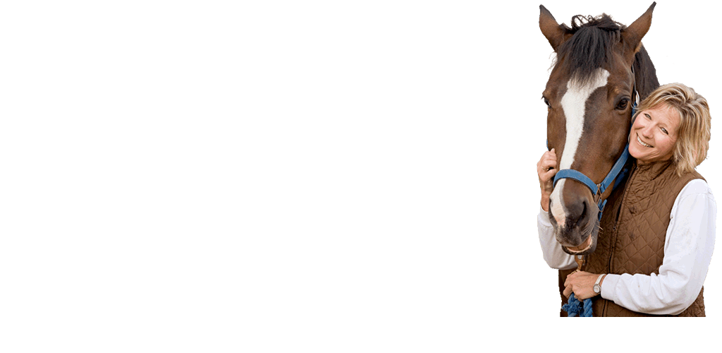 horse riding and agistment