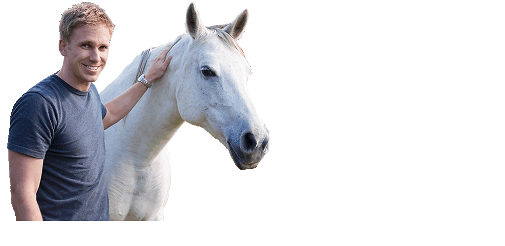 horse riding and agistment