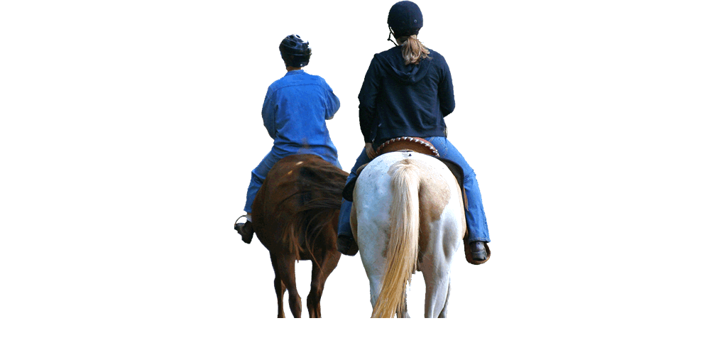 horse riding and agistment